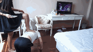 G3137 (1).gif