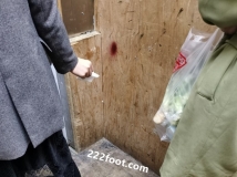 ����������С��Ь��С��㣬����