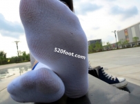 KTS044ԭ����ڨѧ��������ϵ�С�224P��