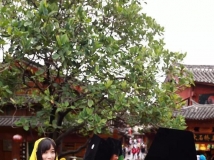 Ů����µ���˫��ɫϵ������������ϲ���Ŀ���Ƥ��ͽ�ֺ��ζ�����