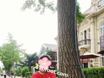 ����������໨��������reebok��Ь��ԭ����Ů�Ľ�Ҳ���к���ζ���Ĺ�����