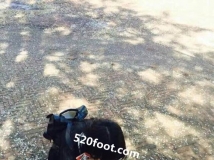 Ư��ѧ�õ�����ûϴ����С��Ь��ζ������