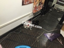 ����ͼ��Ʒ����Ϣ��������Ů�ĸ���Ь��ζ��